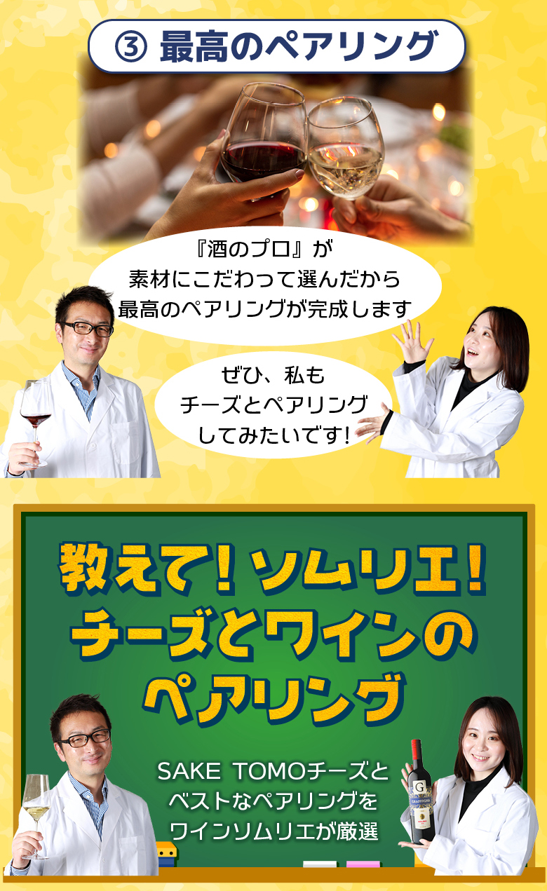 ハードチーズ徹底解剖